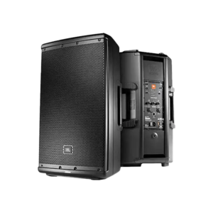 12 Inch PA Speaker 2