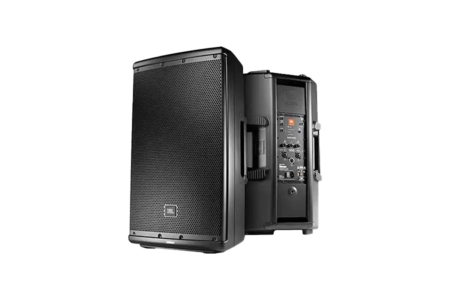 12 Inch PA Speaker 2