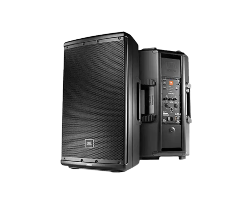 12 Inch PA Speaker 2