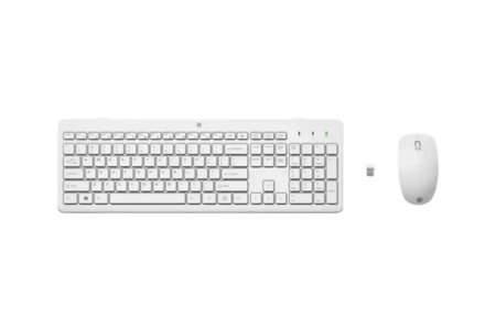 Wireless Keyboards & Mouse Rental