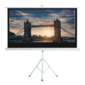 6’11″ H x 12’2″W Projection Screen Rental