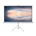 6’11″ H x 12’2″W Projection Screen Rental