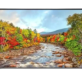 55 Inch UHD Monitor Rental 2