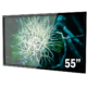 55 inch 4K UHD Touch Screen-Rental Main
