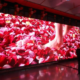 2.6mm LED Video Wall Rental for APEX 2022
